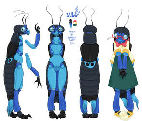 Willow the Earwig: Turnaround