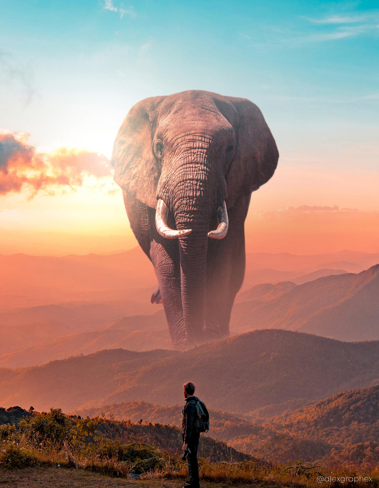 Giant Elephant by AlexGraphex on DeviantArt