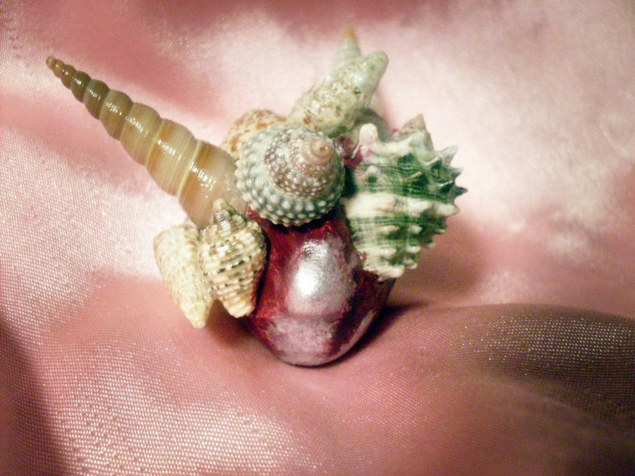 Shell Girl by Junebug18x on DeviantArt