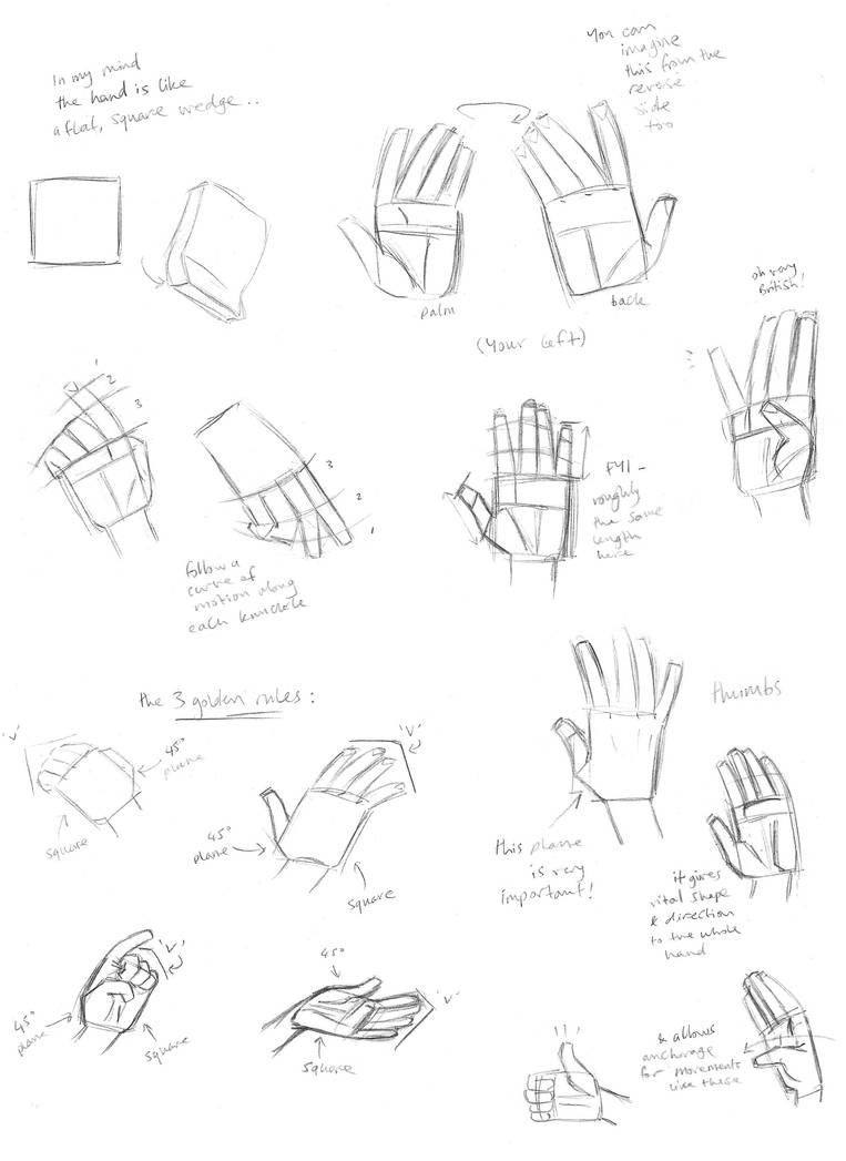 Box Shape Hand Tutorial Brief hand tutorial by Tarento on DeviantArt