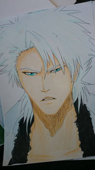 Captain hitsugaya