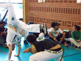 Stage Capoeira 17-02 02
