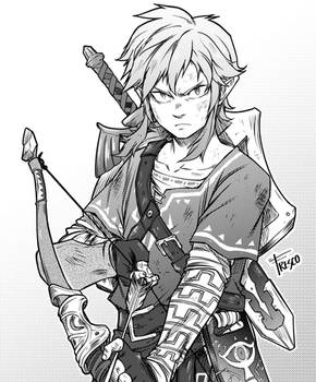 Link BOTW