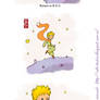 The Little Prince: ephemeral