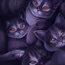 A Whole Mess of Vampire Cats