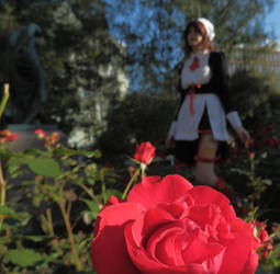 Red as rose - Umineko - Shannon - Cosplay