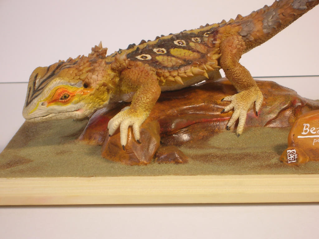 Bearded Dragon 3