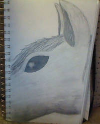 Horse Head Sketch