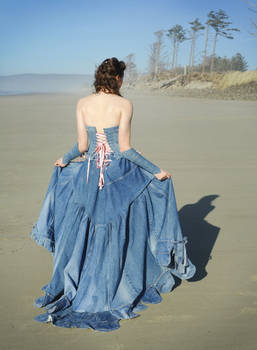 Back of the Jean Ballroom Gown