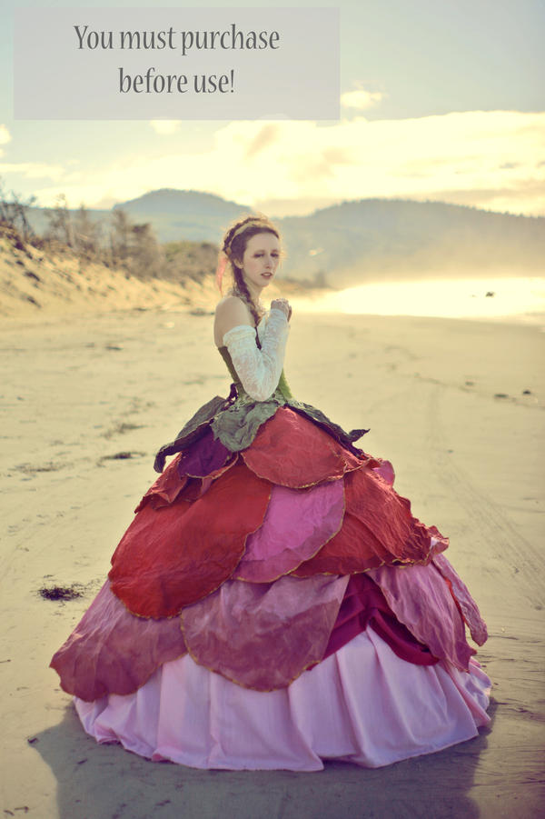 Rose Gown Stock 1 by TEMPERATE-SAGE