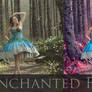 Enchanted Photo Retouch Tutorial (link below)