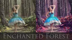 Enchanted Photo Retouch Tutorial (link below)