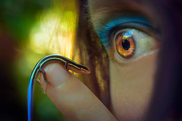 Lens to Lens by TEMPERATE-SAGE