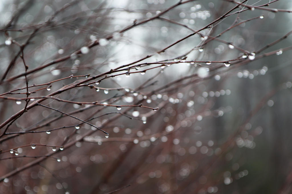 Cold rainy day by Tommyboy42 on DeviantArt