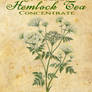 Halloween Hemlock Tea Witches Kitchen Label