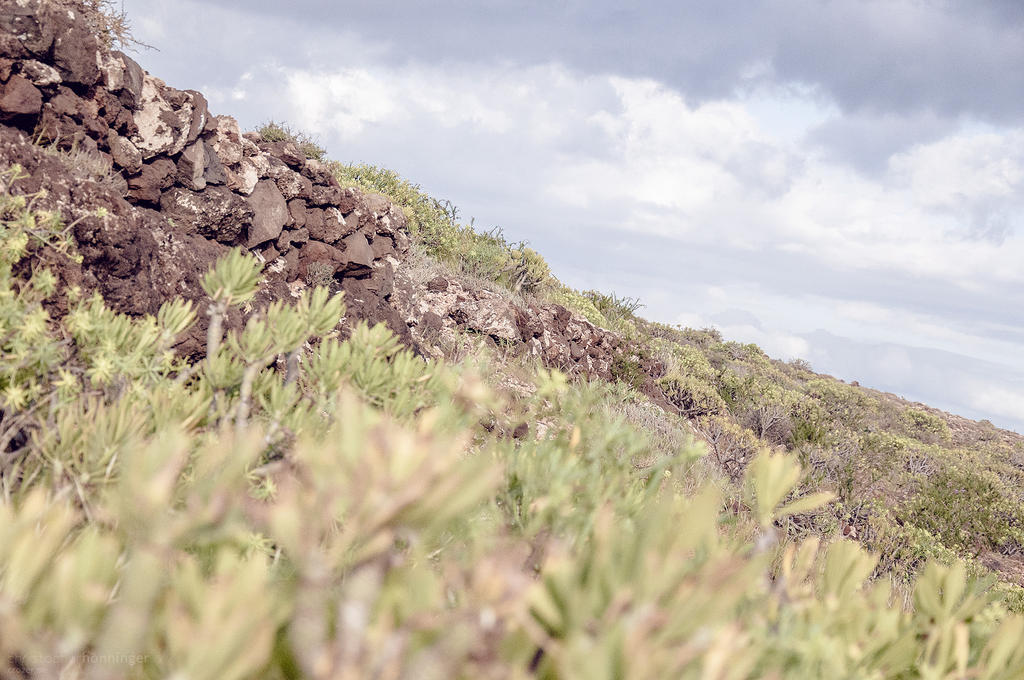 Lanzarote - Vintage II