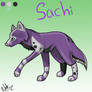 Sachi Character Sheet