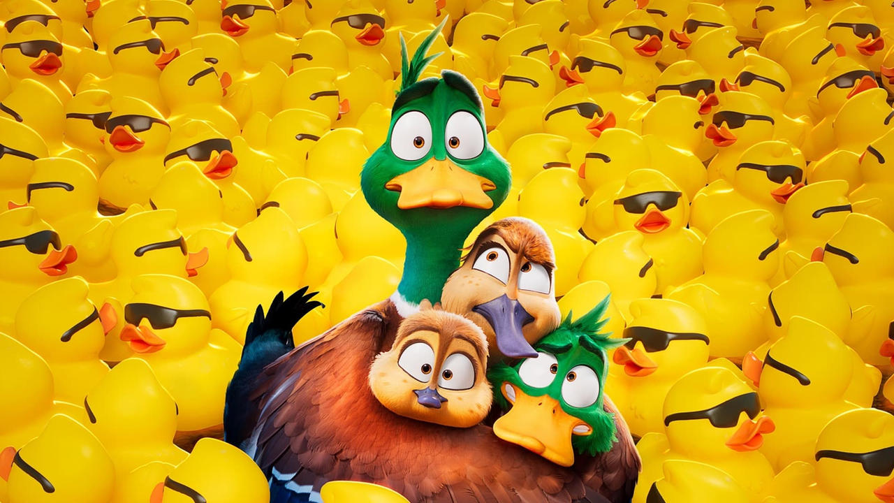 Ver Patos Pelicula Completa By Seaborn04 On DeviantArt ver-patos-pelicula-completa-by-seaborn04-on-deviantart