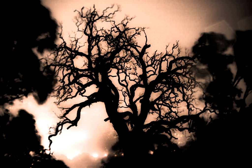 Tree Mdark Dark tree by addappt on DeviantArt