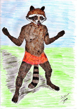 Racoon-y