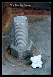 Tiny Bear, Big Screw