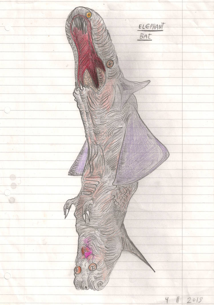 Elephant Rabbit Bat elephant bat by MessyPaperCut on DeviantArt