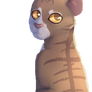 OMG LEAFPOOL HI!!!!!!!!