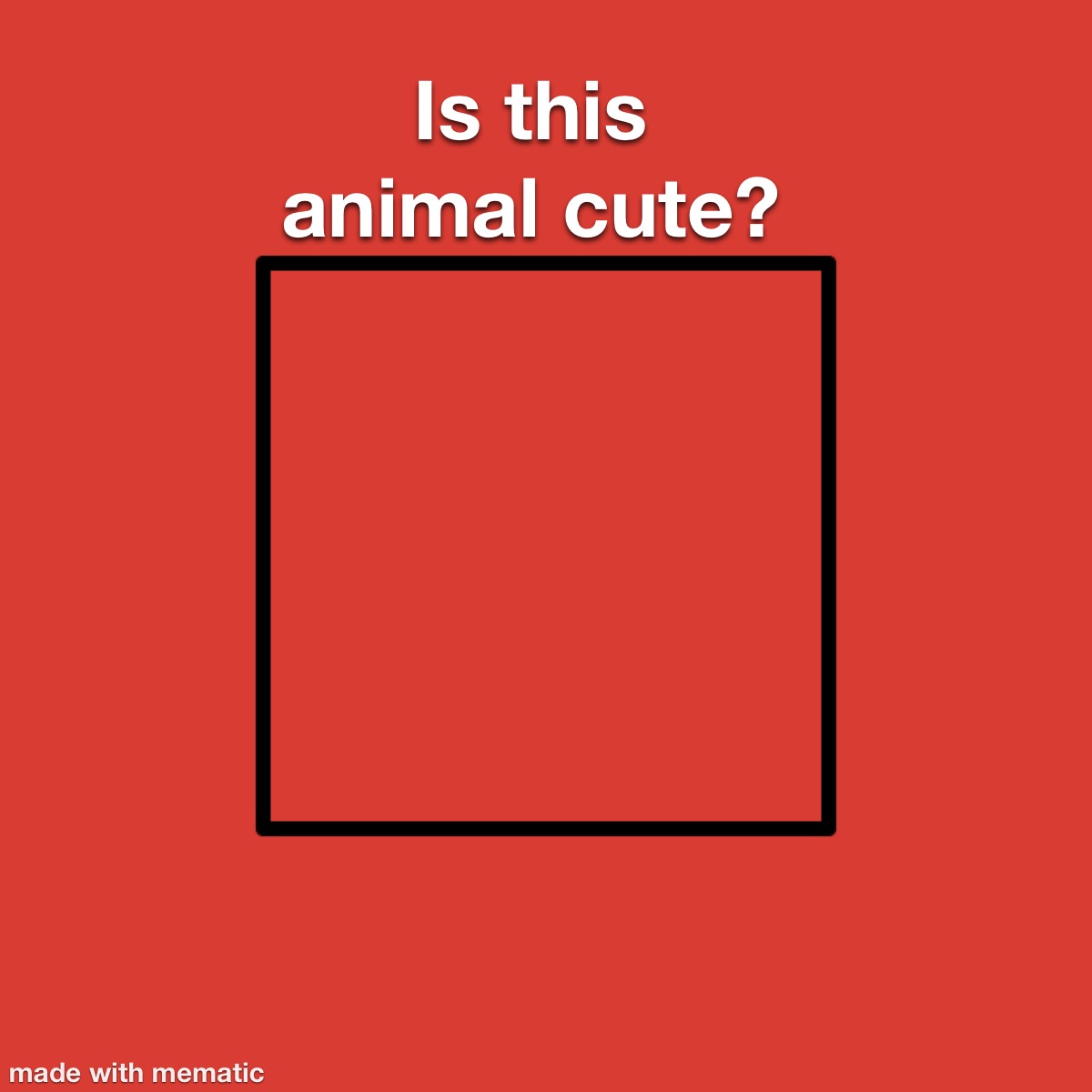 Is this animal cute meme template by BeastBoyFan15 on DeviantArt