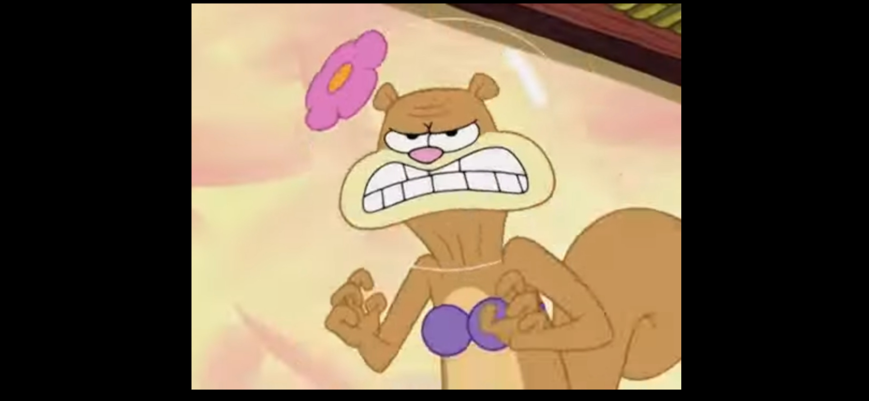 Sandy Expression Sandy Being Brave by gferr699 on DeviantArt
