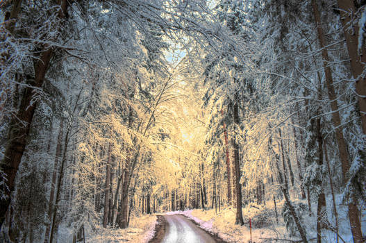 Winters road