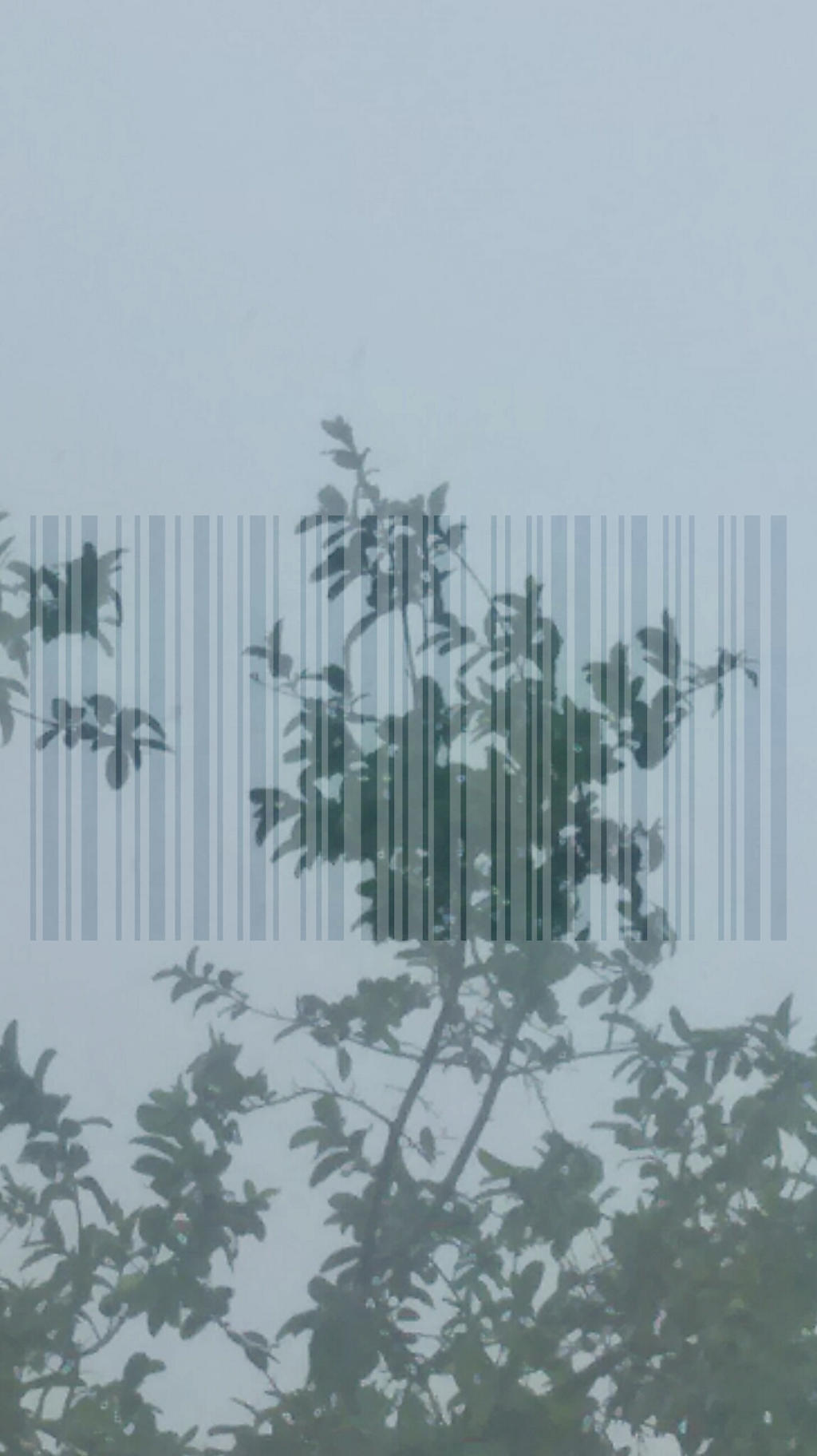 Natural barcode by GuiLovecraftArt on DeviantArt