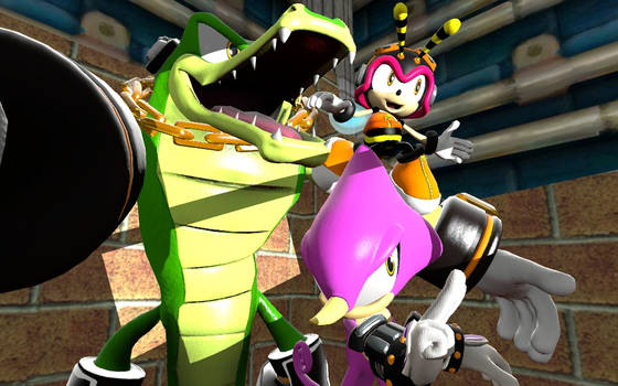 Were the Chaotix!