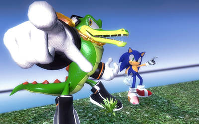 Sonic and Vector