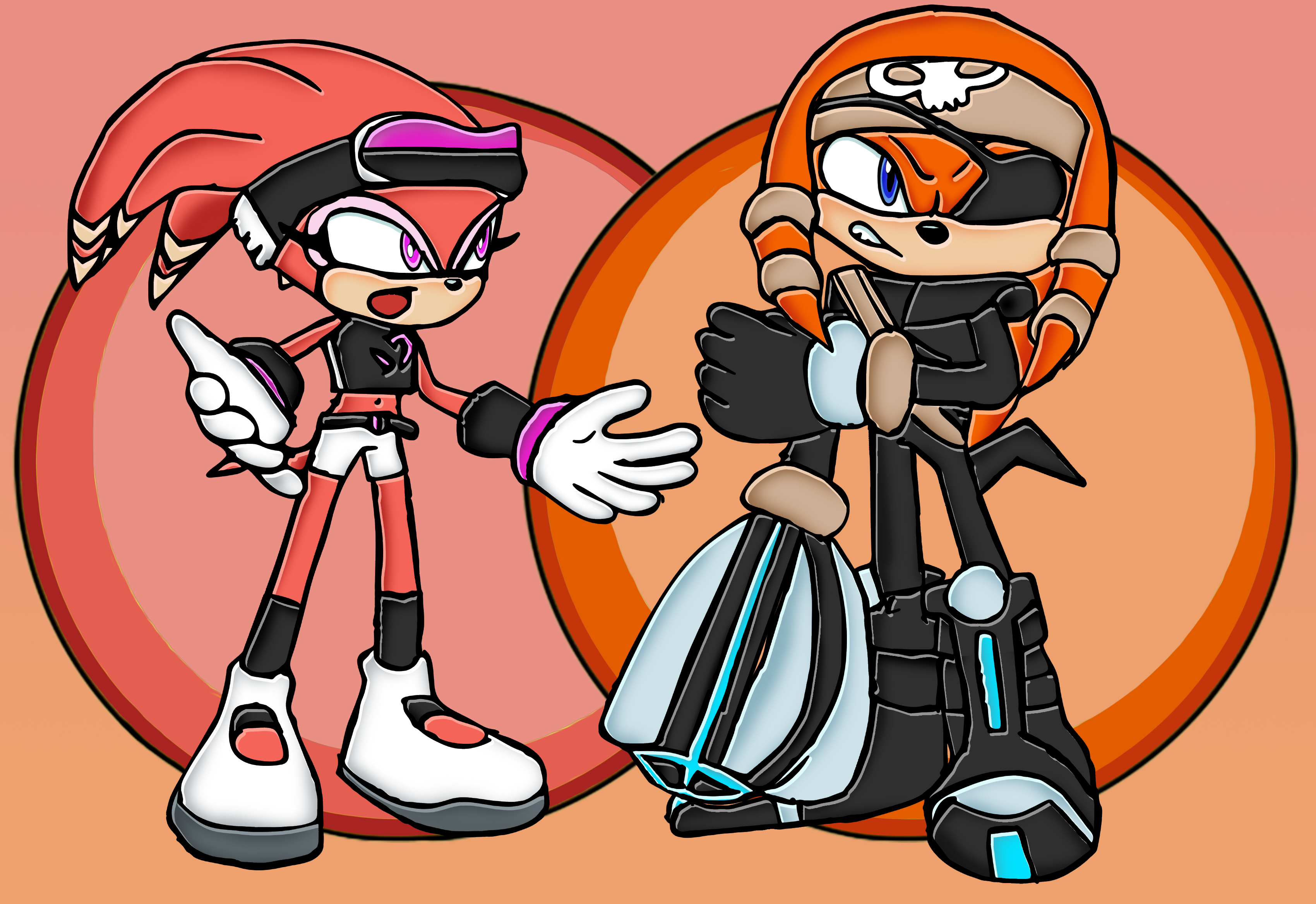 Shade The Echidna | Sonic News Network | Fandom
