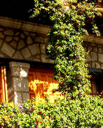 Ventanas, balcones y puertas