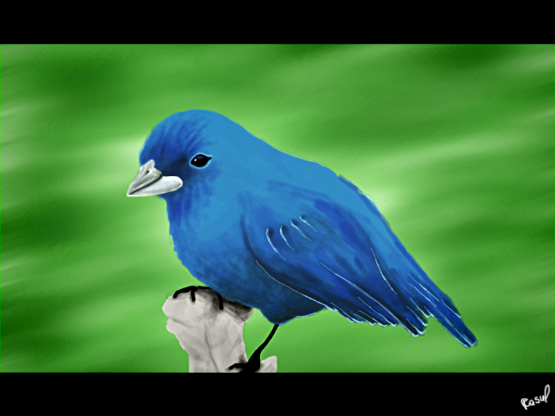 Blue Bird