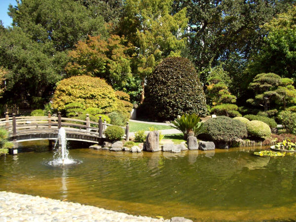 Japanese Gardens 100 0052