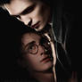 Harry + Cedric, Twilight-style