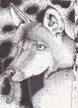 Stippling Dog