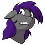 Pony Face: Detected Sonar