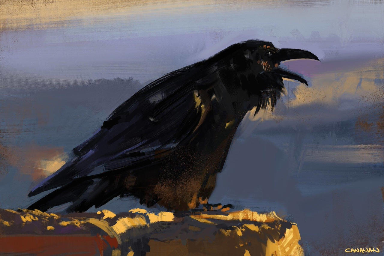 Raven Study