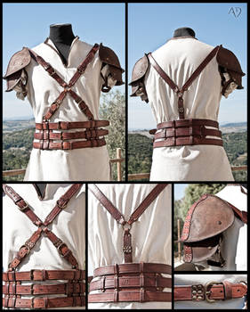 Leather Harness + Shoulder Armor