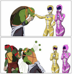 Turtles meet rangers