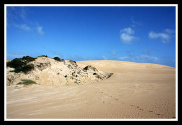 Sand Dune Serenity