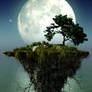 Floating Island