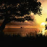 Golden sunset