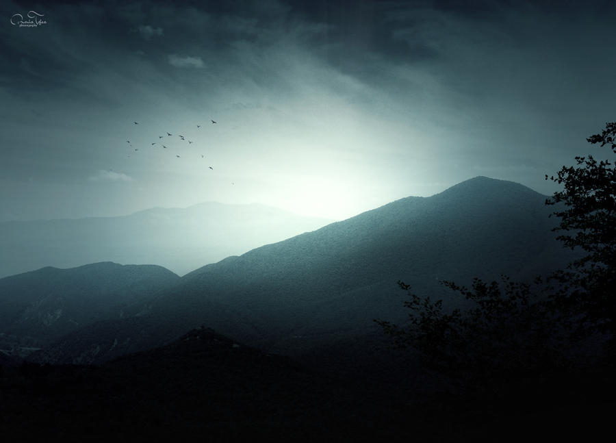 Silent Night