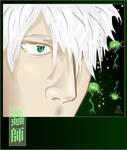 Ginko. The unknown. by broom-rider