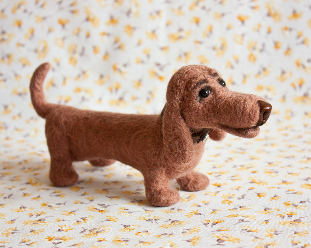 brown dachshund