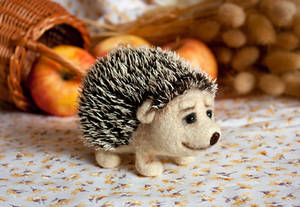 hedgehog by znmystery hedgehog by znmystery